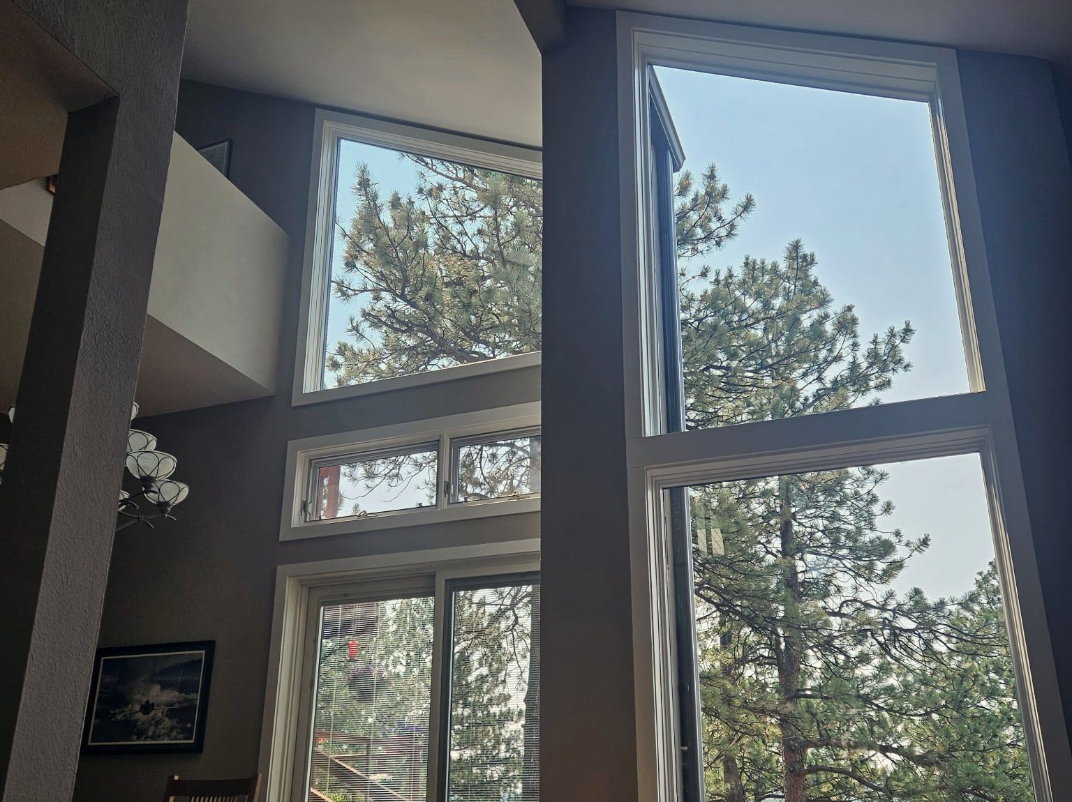A great-room wall of glass after cleaning, looking up two storeys through spotless panes to ponderosa pines and open sky.