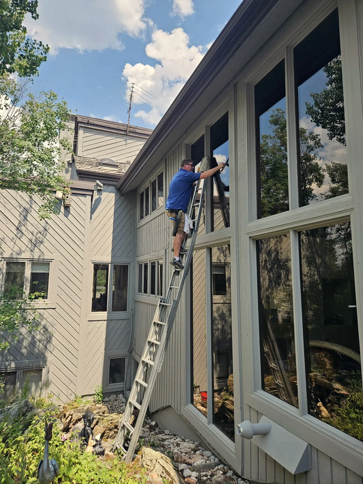 One of the crew part-way up a ladder, squeegeeing the high panes on the outside of a two-storey home.
