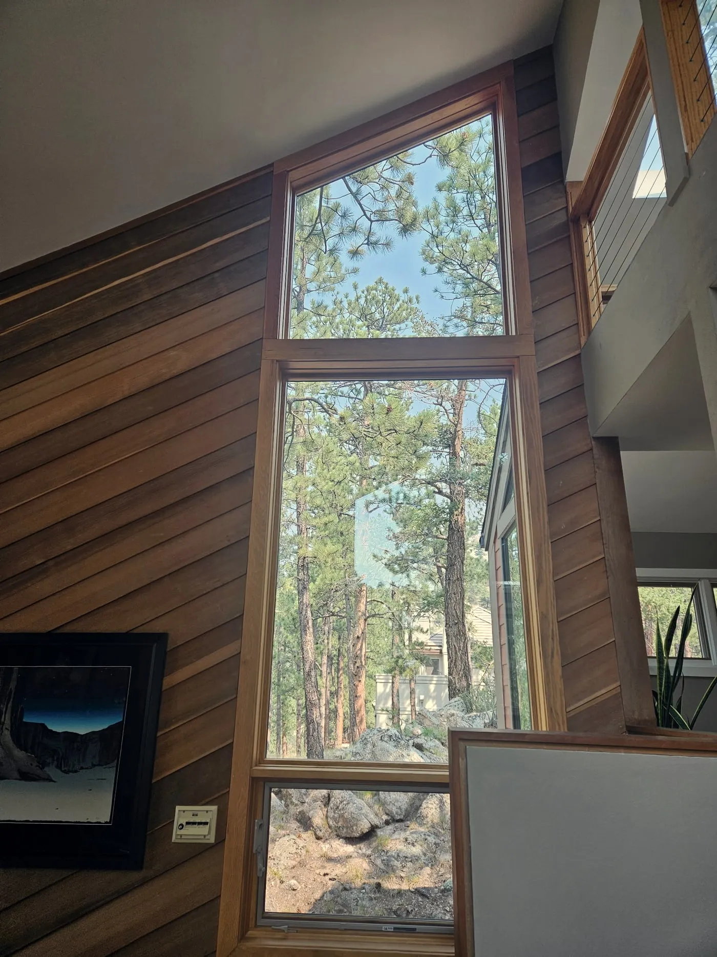 A tall stack of windows in a wood-panelled wall, clean from the sill to the top pane, with pines and rock outside.